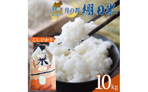 【2025年先行予約】棚田米 こしひかり 白米 10kg 令和7年産 | 新米 コシヒカリ 千曲市産 長野県 信州｜ 新米 コシヒカリ 千曲市 長野県 信州