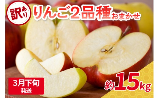 【2026年3月下旬発送】 【訳あり】旬の美味しいりんご 約15kg 青森産 【おまかせ2品種】 1064634 - 青森県五所川原市