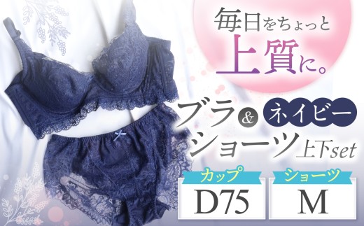 ブラ＆ショーツ 上下セット ネイビー D75＆ショーツ M | 女性用下着 レディース ブラ＆ショーツ ブラ ショーツ ネイビー 上下セット 君津市 きみつ 千葉県
