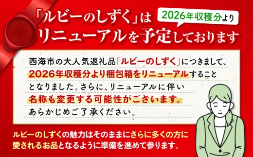 トマト とまと フルーツトマト 