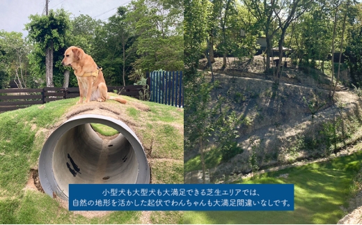 アイテムID:445800の画像4枚目