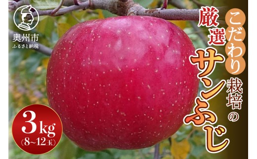 【スターファーム】 こだわり栽培の サンふじ 厳選品 3kg 岩手県奥州市産りんご 産地直送 フルーツ [AY004] 534446 - 岩手県奥州市