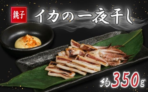 イカの一夜干し 2~4枚 (約350g) イカ 烏賊 一夜干し いか一夜干し スルメイカ ヤリイカ スルメ ヤリ 酒 酒に合う 日本酒 に合う 酒の肴 おつまみ 揚げ物 天ぷら ビール お酒 干物 肴 フライ 炒め 焼き ソテー 炙り いかめし 夕食 おかず 晩酌 肉 厚 イカ干物 イカの干物 おすすめ お取り寄せ ふるさと納税イカ ふるさと納税烏賊 冷凍 送料無料 千葉県 銚子市 ヤマワカ水産