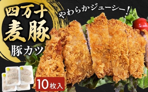 四万十麦豚 豚カツ （約100g×10枚）平野協同畜産 豚肉 麦豚 四万十麦豚 ブランド豚 トンカツ 豚カツ 冷凍カツ 豚ロース 背ロース Ahc-18 2179022 - 高知県四万十町