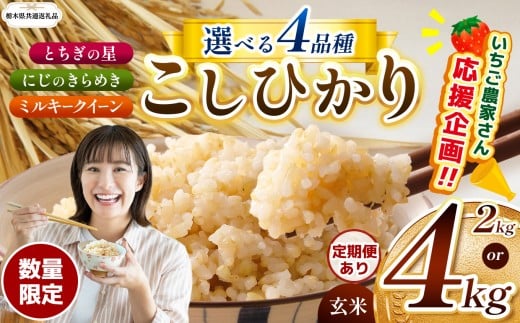 [令和7年度新米先行予約][栃木県共通返礼品][数量限定][選べる定期便][選べる品種]令和7年度新米 栃木県産コシヒカリ とちぎの星 にじのきらめき ミルキークイーン 2kg 4kg|定期便 数量限定 こしひかり とちぎの星 ミルキークイーン にじのきらめき 玄米 米 ごはん おいしい 玄米真空パック ふるさと納税 那珂川町 栃木県