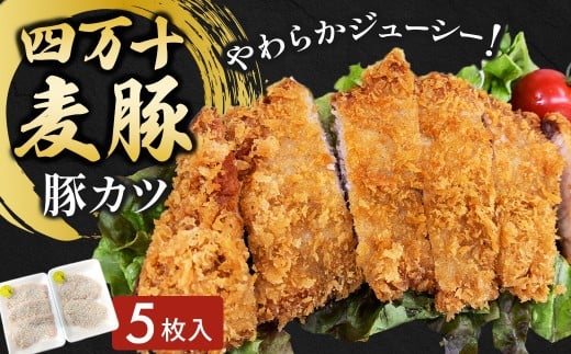 四万十麦豚 豚カツ （約100g×5枚）平野協同畜産 豚肉 麦豚 四万十麦豚 ブランド豚 トンカツ 豚カツ 冷凍カツ 豚ロース 背ロース Ahc-17 2179023 - 高知県四万十町