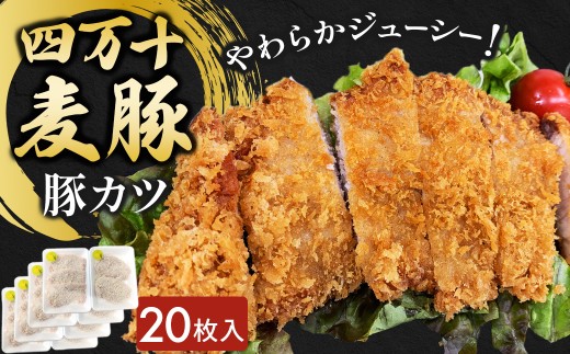 四万十麦豚 豚カツ (約100g×20枚)平野協同畜産 豚肉 麦豚 四万十麦豚 ブランド豚 トンカツ 豚カツ 冷凍カツ 豚ロース 背ロース Ahc-20 2179020 - 高知県四万十町
