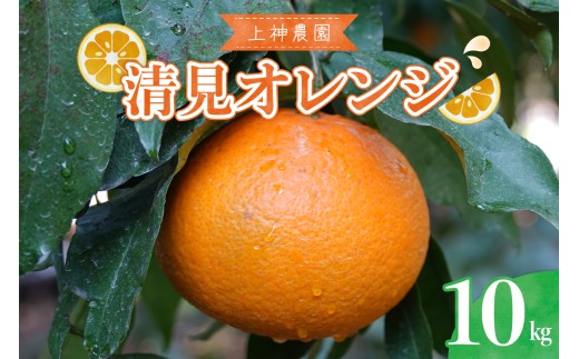【2026年3月上旬～発送】上神農園の清見オレンジ 約10kg ku011-014-25