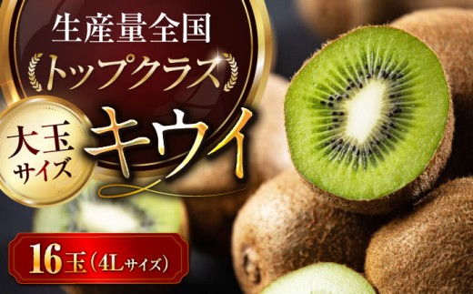 [先行予約][2026年2月中旬から順次発送] キウイ フルーツ 大玉 16 玉 ( 赤秀 4L サイズ ) 愛媛県大洲市/愛媛たいき農業協同組合[AGAO002] キウイ 果物 くだもの フルーツ 愛媛県産 大洲市産 産地直送 おすすめ 人気 お取り寄せ 送料無料 贈答 ギフト