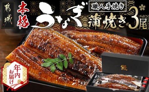 【年内お届け】職人手焼きの本格うなぎ蒲焼き3尾≪2025年12月15日～31日お届け≫_AC-3301-HNY_(都城市) 鰻蒲焼 3尾 (総重量450g以上) タレ付き (30ml×3個) 国産うなぎの蒲焼き 特製たれ付き 冷凍 ウナギ かば焼き うなぎ