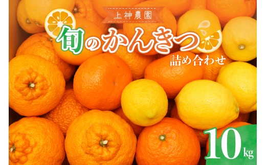 【2025年11月中旬～発送】上神農園 旬の柑橘詰め合わせ約10kg ku011-023-25