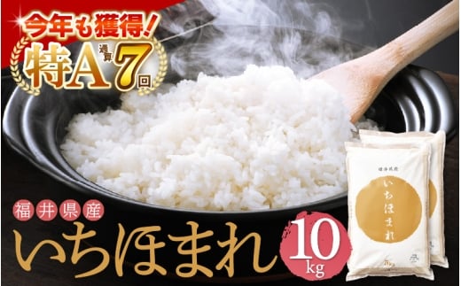 特A通算7回！令和6年産 お米 いちほまれ 10kg 福井県産【米 コメ kome 10キロ 精米 白米】 [e27-b014_r06]