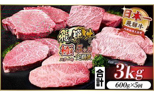 ＜毎月定期便＞飛騨牛 極ステーキ定期便　計約3kg＜冷蔵便＞全5回　A4～A5等級　黒毛和牛【4056916】