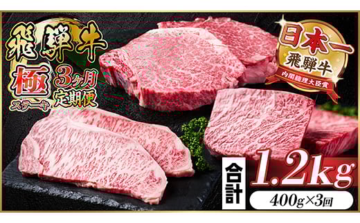＜毎月定期便＞飛騨牛 極ステーキ定期便　計約1.2kg＜冷蔵便＞全3回【4056912】 1492992 - 岐阜県羽島市