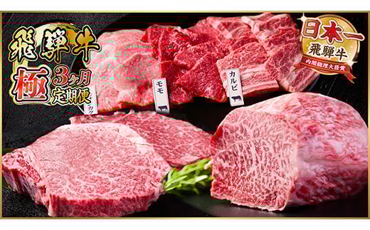 ＜毎月定期便＞飛騨牛 極定期便 計1.7kg＜冷蔵便＞A4～A5等級 シャトーブリアンほか 全3回【4055508】