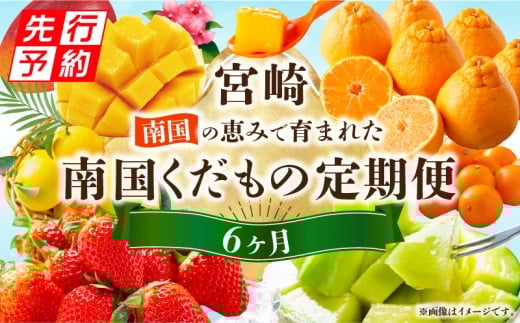 [2026年発送先行予約]南国くだもの6ヶ月定期便