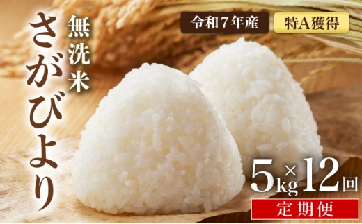 先行予約 [令和7年産] ＜定期便12回＞ 特A評価 さがびより 無洗米 5kg×12回 1289200 - 佐賀県大町町