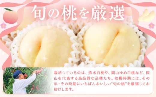 アイテムID:415316の画像3枚目