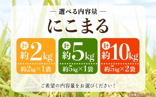 新米＜令和7年産 西予市宇和町産 にこまる 約2kg/5kg/10kg＞ お