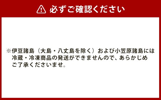 【全12回定期便】《具材付》長崎冷凍皿うどん 総計120食 (10食×12回) 