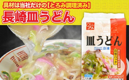 【全12回定期便】《具材付》長崎冷凍皿うどん 総計120食 (10食×12回) 