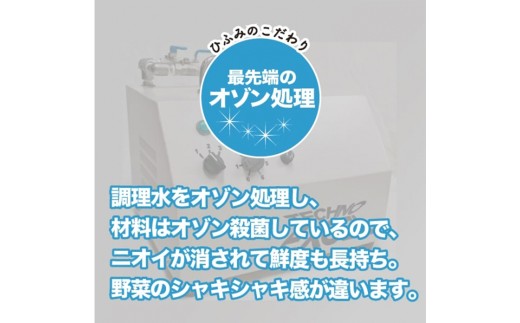 【全12回定期便】《具材付》長崎冷凍皿うどん 総計120食 (10食×12回) 