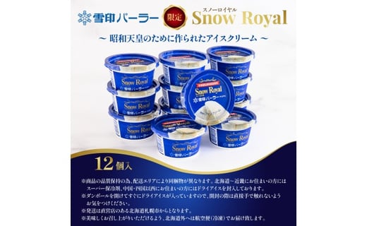 雪印パーラー スノーロイヤル 12個セット