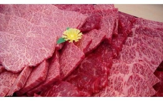 近江牛 焼き肉(赤身・カルビ部位)0.5kg 531744 - 滋賀県草津市