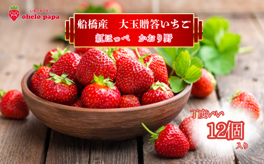 いちご 大粒 12個イチゴ 苺 かおり野 紅ほっぺ 予約 先行予約 先行受付 数量限定 期間限定 限定果物 フルーツ 予約 ギフト 贈答