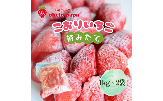 摘みたて氷いちご 2kg 冷凍いちご いちご イチゴ 苺