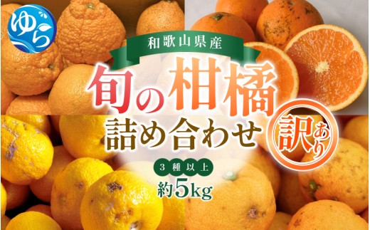 ＼来シーズン先行予約／【訳あり】旬の柑橘詰め合わせ（3種以上）約5kg【2026年2月初旬頃から順次発送予定】※北海道・沖縄・離島配送不可 / みかん 蜜柑 フルーツ 果物 くだもの 由良町 詰合せ おすすめ 産地直送 和歌山【eiw028】 2096450 - 和歌山県由良町