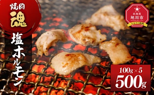 焼肉　魂　塩ホルモン100g×5 【 お肉 焼肉 焼き肉 やきにく タレ 漬け 付き 味付き にく 小分け 個包装 冷凍 BBQ アウトドア キャンプ 人気 北海道 簡単調理 焼くだけ お取り寄せ 旭川市 北海道 】_04954 2177892 - 北海道旭川市