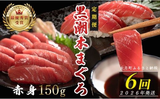 【定期便6回】日本一!黒潮本まぐろ 赤身 1030128 - 高知県大月町