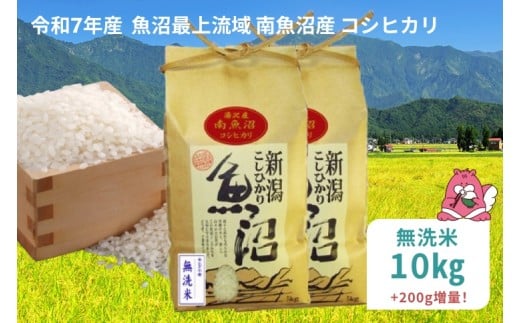 令和7年産 10kg〈無洗米〉 魚沼最上流域 南魚沼産 コシヒカリ 精米したてのお米をお届け 【湯沢産 コシヒカリ】