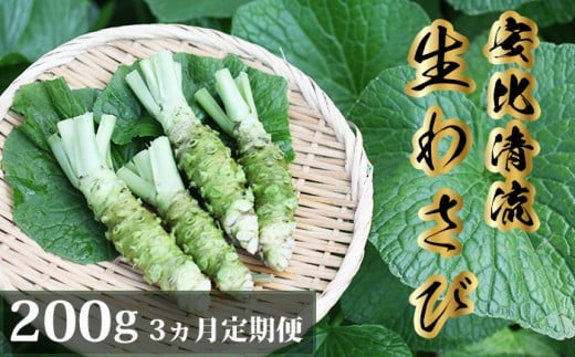 岩手県産 生わさび 200g 3ヶ月定期便 【安比清流山葵園】 ／ 山葵 ワサビ わさび 薬味 国産 八幡平市産 産地直送 新鮮 調味料 刺身 ステーキ お肉 蕎麦 和え物 漬け物 刻み おろし 辛味 和食 お寿司 そば 肉の薬味 魚の薬味 そばの薬味 料理 おすすめ オススメ 日本産 767022 - 岩手県八幡平市