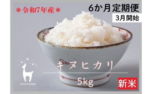 〈6か月定期便・3月開始〉【先行受付】【京都ファーム】令和7年産 京都ファームのキヌヒカリ 5kg　［ 京都 京北産 きぬひかり 人気 おすすめ 米 コメ おこめ お取り寄せ 通販 送料無料 ふるさと納税 ］ 2177377 - 京都府京都市