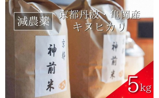 【令和7年産】新米 先行予約 5kg 京都・神前米 キヌヒカリ ☆精米したてをお届け ※2025年9月下旬以降順次発送 ≪減農薬 自家栽培米 生産農家 直送 白米 米 精米 クリーン白米≫