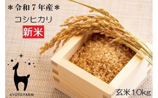 【新米先行受付】【京都ファーム】令和7年産 京都ファームのコシヒカリ 玄米10kg ［ 京都 京北産 こしひかり 人気 おすすめ 米 コメ おこめ お取り寄せ 通販 送料無料 ふるさと納税 ］ 1435266 - 京都府京都市