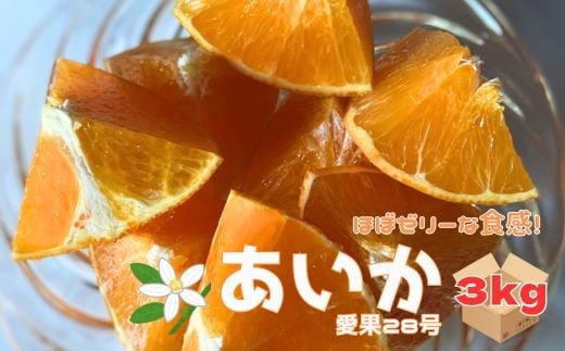 愛果28号 3kg ご家庭用 みかん 愛媛 【2025年12月から順次発送】 先行予約 数量限定 愛媛県産 人気 柑橘 伊予市｜B246 1253926 - 愛媛県伊予市