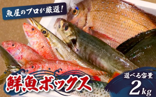 鮮魚BOX 2kg 刺身 刺し身 旬 海鮮 鮮魚 魚介 焼き 煮付け 炙り カルパッチョ 寿司 丼 おつまみ おかず ご飯に合う 米に合う コメに合う 家庭用 父の日 高級 冷蔵 高知県 須崎市 土佐 須崎魚商人組合 GK007 2191921 - 高知県須崎市