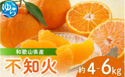  【来シーズン先行予約】和歌山県産 不知火 約4～6kg ※2026年2月中旬から順次発送 （北海道・沖縄・離島配送不可） / 柑橘 みかん しらぬい 蜜柑 フルーツ 果物 くだもの 食品 人気 由良町 晩柑 おすすめ 送料無料 産地直送【eiw008】 778666 - 和歌山県由良町