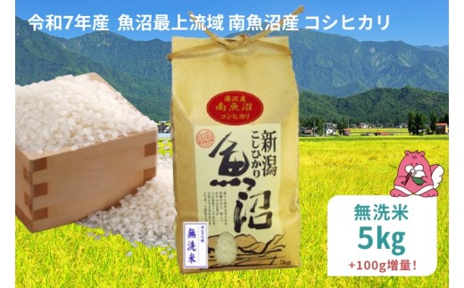 令和7年産 5kg〈無洗米〉 魚沼最上流域 南魚沼産 コシヒカリ 精米したてのお米をお届け 【湯沢産 コシヒカリ】