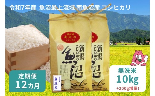 令和7年産 10kg 【12か月定期便】〈無洗米〉（5kg×2袋）魚沼最上流域 南魚沼産 コシヒカリ 精米したてのお米をお届け 【湯沢産 コシヒカリ】