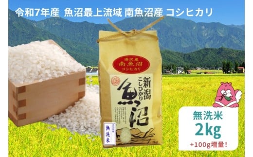 令和7年産 2kg〈無洗米〉 魚沼最上流域 南魚沼産 コシヒカリ 精米したてのお米をお届け 【湯沢産 コシヒカリ】