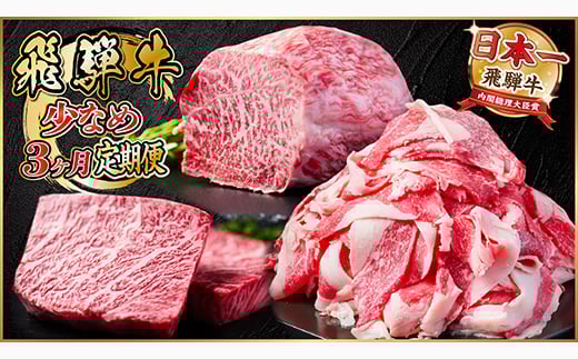 ＜毎月定期便＞飛騨牛 少なめ定期便 計1kg＜冷蔵便＞全3回 赤身ステーキ 切り落とし 赤身ブロック【4055497】