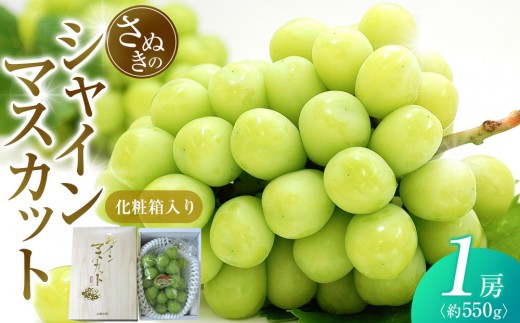 【7月下旬頃～発送】シャインマスカット 約550g (1房) 化粧箱入り 2030960 - 香川県さぬき市