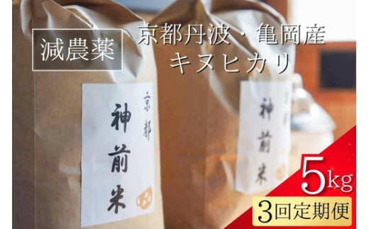 【令和7年産】新米 先行予約 5kg ×3回 京都・神前米 キヌヒカリ 5kg × 3ヶ月 計15kg ☆精米したてをお届け ※2025年9月下旬以降順次発送 ≪減農薬 自家栽培米 生産農家 直送 米 精米 クリーン白米≫