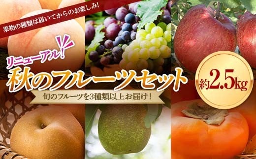 《先行予約 2025年度発送》秋のフルーツセット2.5kg ぶどう ブドウ 葡萄 デザート フルーツ 果物 くだもの 果実 食品 山形県 FSY-1895 267509 - 山形県山形県庁