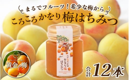 まるでフルーツ！希少な梅から「ころころかをり梅はちみつ」12本 [E-178002] / 梅 うめ はちみつ ハチミツ 加工品 調味料 ジャム 季節ジャム パン ジャムティー ヨーグルト 料理 手造り 詰合せ お取り寄せ 送料無料