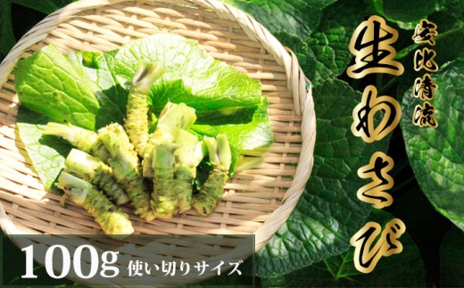 岩手県産 生わさび 使い切りサイズ 100g [安比清流山葵園] / 山葵 ワサビ わさび 薬味 国産 八幡平市産 産地直送 新鮮 調味料 刺身 ステーキ お肉 蕎麦 和え物 漬け物 刻み おろし 辛味 和食 お寿司 そば 肉の薬味 魚の薬味 そばの薬味 料理 自宅用 家庭用 おすすめ オススメ